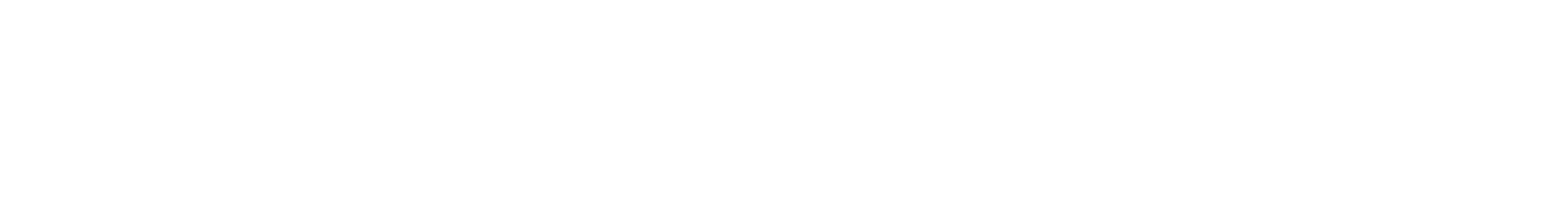 Main Logo